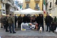 Fratelli d&#039;Italia in piazza contro il caro carburanti e l&#039;aumento delle bollette