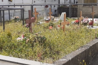 &quot;La situazione in cui versano i cimiteri di Ameglia e Montemarcello è indecorosa&quot;
