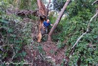 Mangia Trekking al lavoro per ripristinare i sentieri sull&#039;isola Palmaria