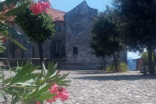 Biblioteca &quot;Mario Tobino&quot;