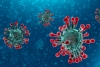 Coronavirus: 39 nuovi casi in Asl5 e un decesso al San Bartolomeo