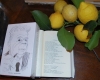 A Monterosso la festa dei limoni