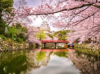 Sguardi a Oriente