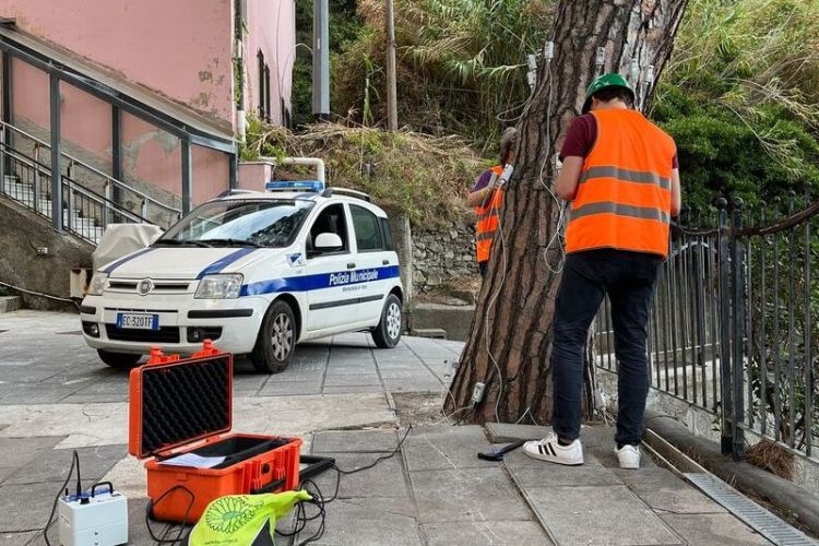 Indagine sul verde a Monterosso per la sicurezza dei cittadini