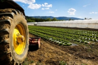 Agricoltura in Liguria