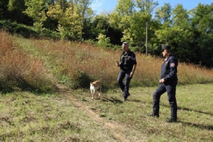 Bradiola, l&#039;unità cinofila antiveleno e i Carabinieri forestali bonificano l&#039;area