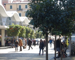 Emergenza Covid- 19 e piazza del Mercato, Caratozzolo e Nobili: &quot;Nostro intervento finalizzato a salvaguardia di tutti&quot;