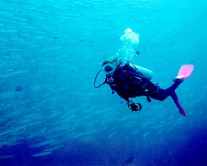 Alla ricerca di siti subacquei di interesse naturalistico
