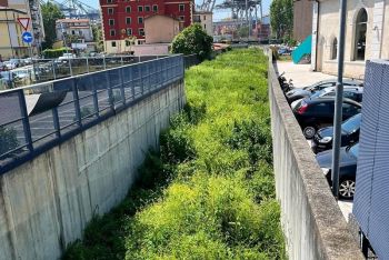 Abbandonano rifiuti nel torrente Dorgia e in Via Rita Levi Montalcini, denunciati dalla Polizia Locale