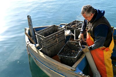 L'economia del mare del Golfo dei Poeti protagonista di Slow Fish 2023 al Porto Antico da oggi fino al 4 giugno