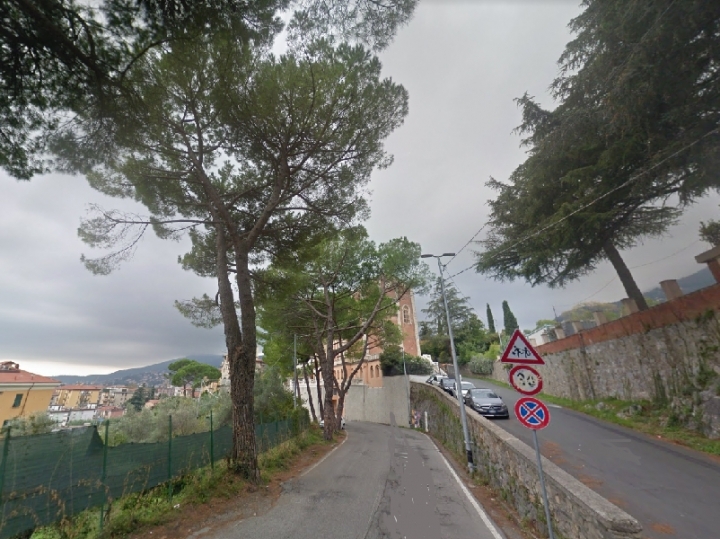 Taglio dei pini in Via San Francesco, l&#039;amministrazione: &quot;Prima di tutto l&#039;incolumità dei cittadini&quot;
