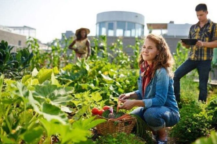I campi si tingono sempre più di rosa: oltre 200mila imprese agricole in Italia sono guidate da donne