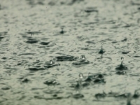 Guerri: &quot;L&#039;acqua continua a creare problemi alla Pieve, in viale Fieschi e in via Cantarana&quot;