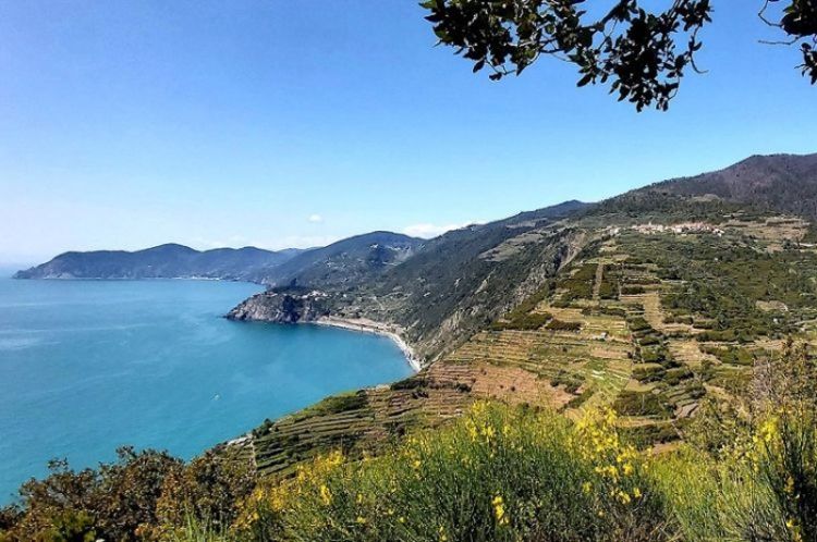 I Sindaci delle Cinque Terre chiedono l'immediata nomina di uno di loro quale Vicepresidente del Parco