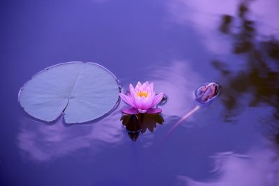 La magia dell&#039;anima fa tappa alla Spezia