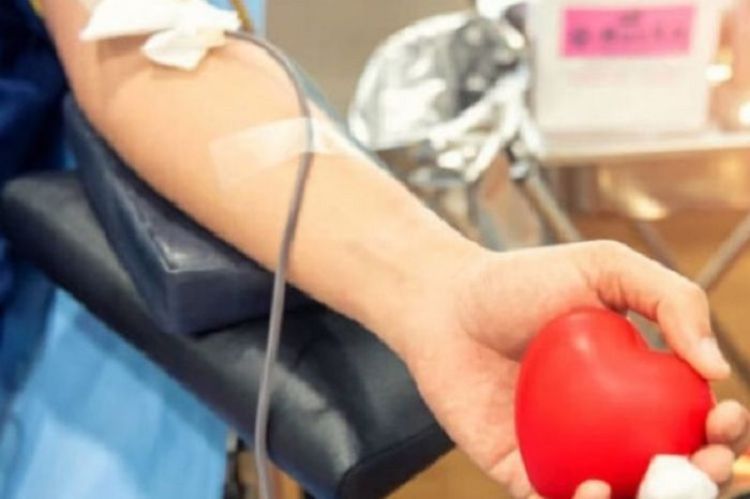 Nasce il Gruppo donatori di sangue della Croce Rossa della Spezia