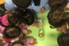 Il Comune di Arcola coinvolge le scuole nella lotta alla Vespa Velutina