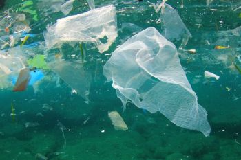 Liberi dalla plastica... si può? Il DLTM prova a dare una risposta