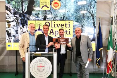 Torna &quot;Oliveti Aperti&quot;, la  Liguria celebra l’olivicoltura eroica