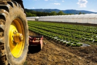 1 azienda agricola su 5 in crisi a causa dello stop ai ristoranti