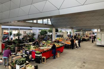 Alcuni operatori di Piazza del Mercato: “Le telecamere sono la soluzione, 30 parcheggi spostando i banchi un problema”