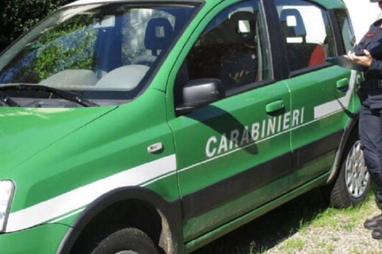 Carabinieri forestali hanno contestato 6 sanzioni a guide turistiche prive dell’abilitazione professionale
