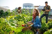 La Giunta ligure dice NO agli aiuti a chi investe nell&#039;agricoltura urbana sostenibile