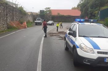 Allerta arancione, decine di interventi sulle strade spezzine per frane e rami pericolanti