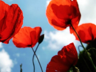 25 Aprile: Uil Liguria in tutte le piazze virtuali con l&#039;Anpi