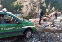 Carabinieri Forestale (foto di repertorio)