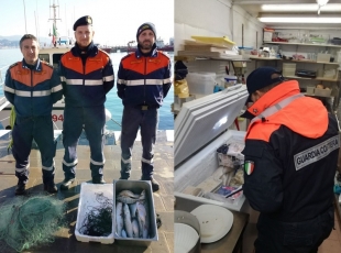 Operazione &quot;Dirty Market&quot;, oltre 30kg di prodotti ittici sequestrati dalla Guardia Costiera