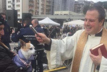 Il 17 gennaio si ricorda Sant’Antonio Abate, protettore degli animali