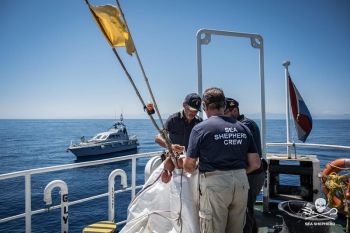 Sea Shepherd è alla Spezia e apre al pubblico una delle sue navi