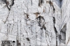 A Carrara &quot;Sorgenti-Arte contro la devastazione&quot;