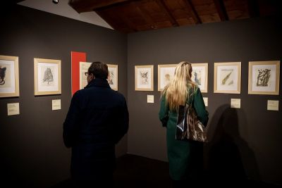 Sarzana, ultimi giorni per vedere la mostra &quot;Salvador Dalì- Dante e il viaggio del Genio&quot;