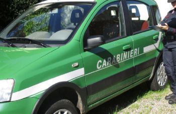 Bruciava i rifiuti per smaltirli: denunciato dai Carabinieri Forestali