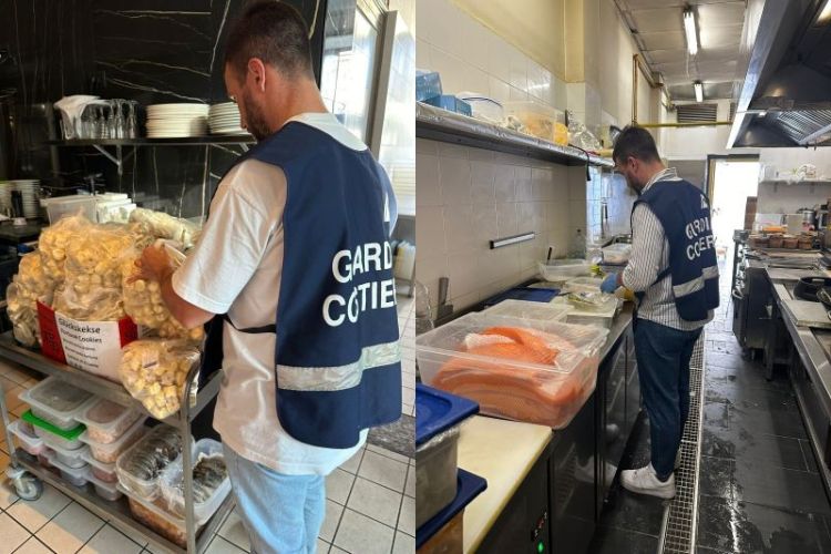 Guardia Costiera della Spezia, sequestrata oltre mezza tonnellata di prodotti ittici a Cremona