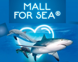 A Le Terrazze Mall for Sea