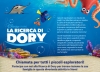 Dory nel mare dell&#039;Astoria Lerici