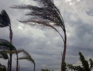 Venti forti, Arpal diffonde l&#039;avviso meteo