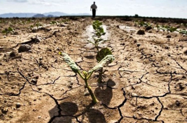 Crédit Agricole Italia e Confagricoltura, importante plafond per fronteggiare siccità e rincari energetici