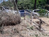 Degrado al cimitero dei Boschetti (Foto)