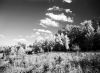 Viaggio nell&#039;Appennino con Marco Fallini e le sue fotografie