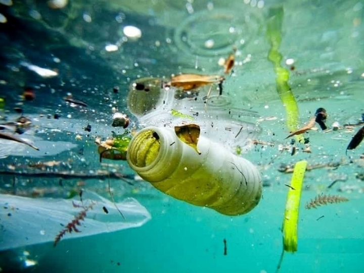 Le Terrazze: una gita in barca per lottare contro il fenomeno della plastica nei mari