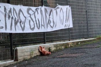 Una testa di maiale davanti al Ferdeghini, ancora intimidazioni verso lo Spezia Calcio