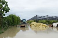 Cena di solidarietà per aiutare le aziende agricole dell&#039;Emilia Romagna