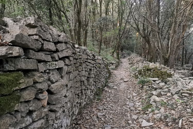 Vallestrieri, il Parco: &quot;Nelle Zone Speciali di Conservazione è vietata la trasformazione del bosco&quot;