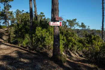 Bando &quot;Territori in Luce&quot; della Fondazione Compagnia di San Paolo, tra i vincitori un progetto spezzino