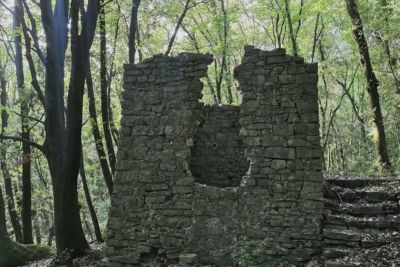 Nasce il Comitato per la salvaguardia del bosco di Vallestrieri