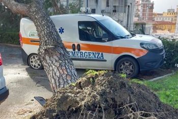 Automedica danneggiata da un albero nel parcheggio del Sant’Andrea